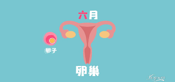 卵巢老一岁，女人老十岁？妇科专家总结6大“护巢指南”